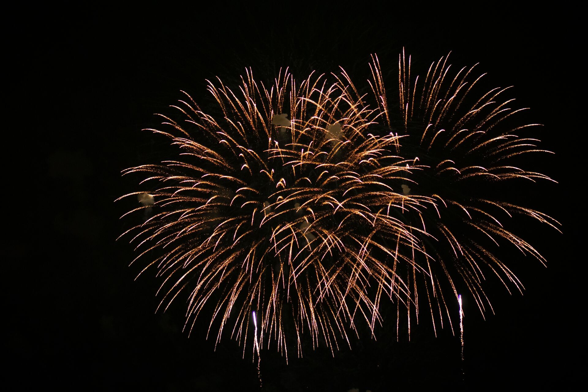 Brilliant golden fireworks against a black background